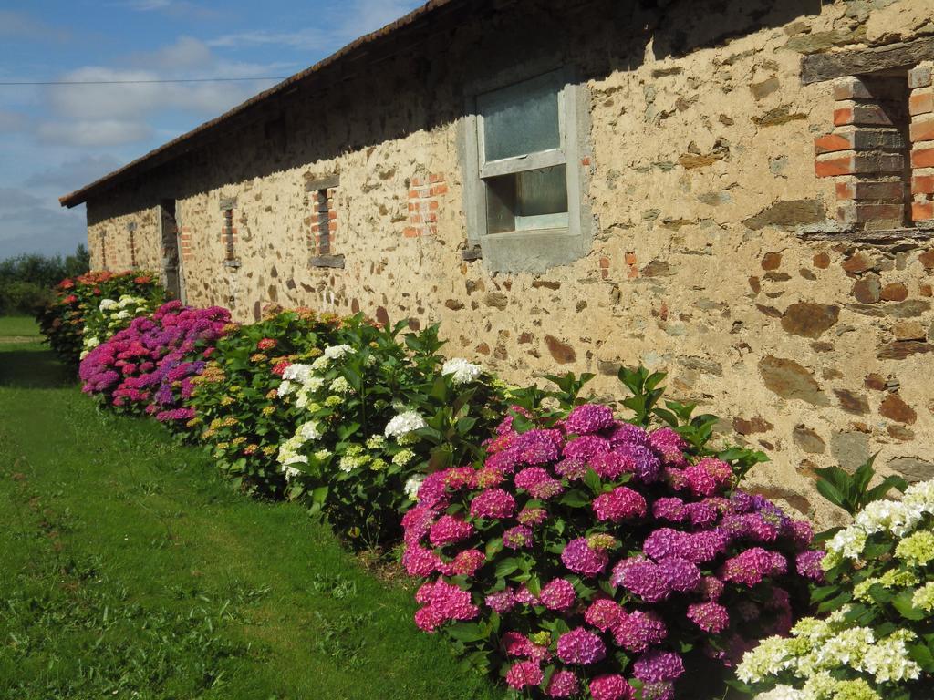 Bed and Breakfast A La Haute Bouillere Chavagnes-les-Redoux Exterior foto