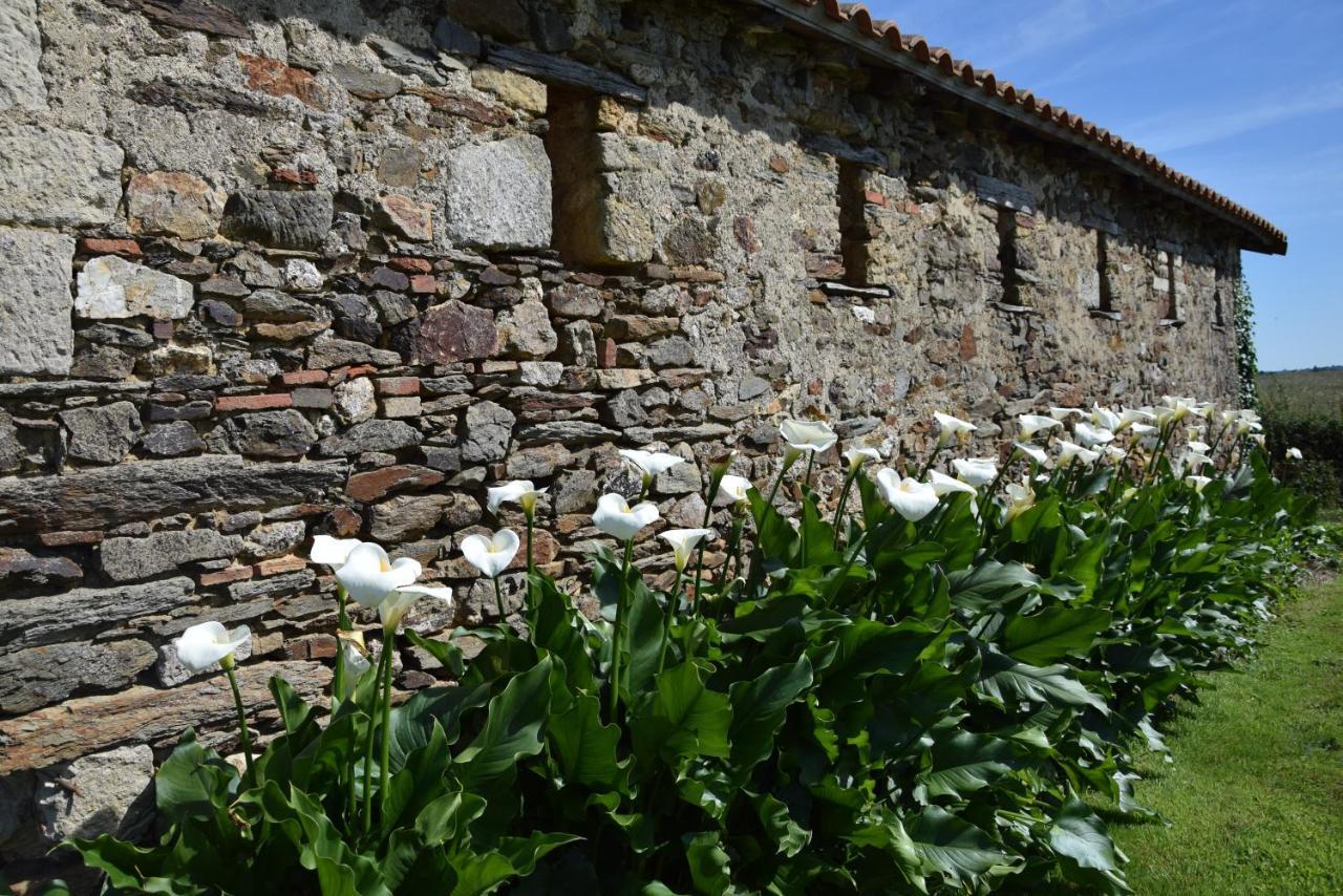 Bed and Breakfast A La Haute Bouillere Chavagnes-les-Redoux Exterior foto